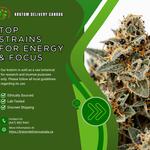 Kratom Delivery Canada - photo 9