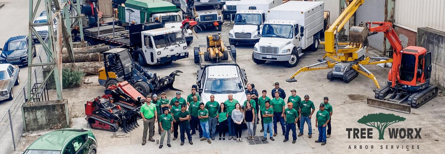 Tree Worx cover photo