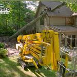 Tree Worx - photo 2
