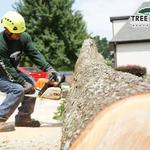 Tree Worx - photo 4