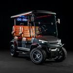 Botero Carts - photo 1