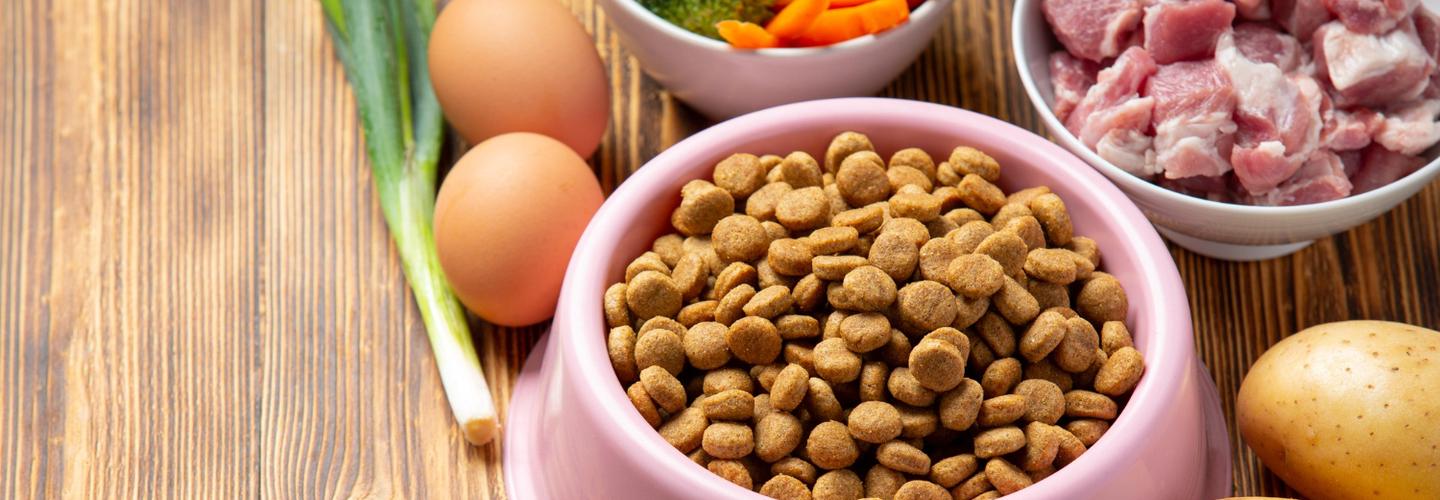 prime raw cover photo