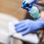 The Sparkle Gang - photo 1