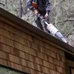 The Sparkle Gang - photo 2