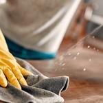 The Sparkle Gang - photo 6