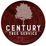 Century Tree Service - Tree Services in Kingsville