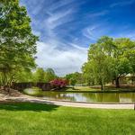 Panchenko Law Firm - photo 1