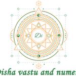 Disha Vasstu and Numero - photo 1