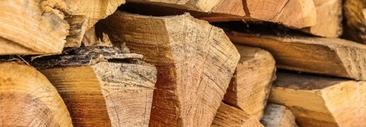 Vedkungen cover photo