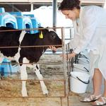 Zenley Animal Health - photo 1