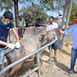 Zenley Animal Health - photo 3