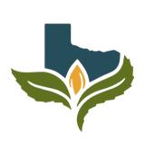 Texas Original | San Antonio - Cannabis Dispensaries in San Antonio
