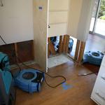 Texas Fast Restoration - photo 4