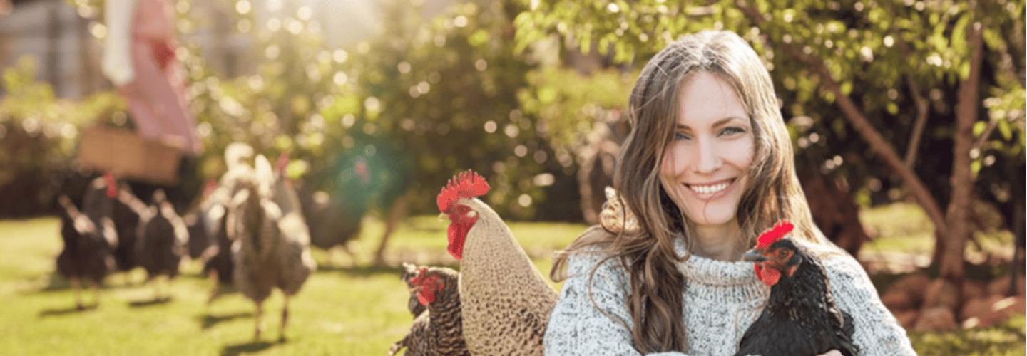 Coops and Hutches Direct cover photo