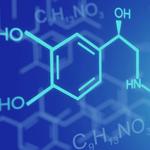 Angel Consulting Srl - photo 1