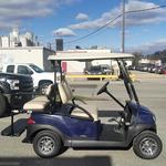 Mesa Golf Carts - photo 4