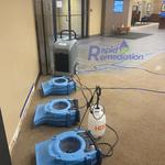 Rapid Remediation - photo 1