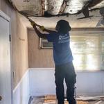 Rapid Remediation - photo 2