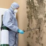 Rapid Remediation - photo 5