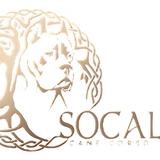 SoCal Cane Corso - Pet/Animal Breeders in Fallbrook