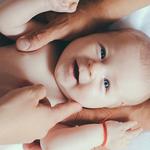 Ovoria Egg Bank - photo 2