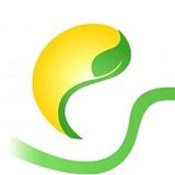 Future Landscape Service - Landscaping in Fontana