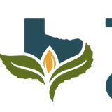 Texas Original | Houston