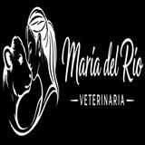 MARIA DEL RIO VET - Veterinarians/Vets in Las Rozas de Madrid