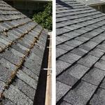 North West Fresh Roof - photo 1