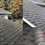 North West Fresh Roof - photo 2