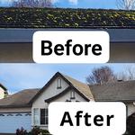 North West Fresh Roof - photo 7