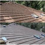 North West Fresh Roof - photo 9