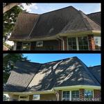 North West Fresh Roof - photo 10