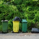 RGV Waste - Dumpster Rental and Junk Removal - photo 1