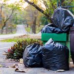 RGV Waste - Dumpster Rental and Junk Removal - photo 6