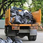 RGV Waste - Dumpster Rental and Junk Removal - photo 10