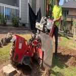 Osprey Arbor Works - photo 2