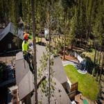 Osprey Arbor Works - photo 4