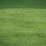 Rockhampton Lawn Mowing - photo 6