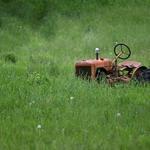 Rockhampton Lawn Mowing - photo 7