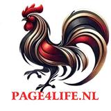 ĐÁ GÀ THOMO PAGE4LIFE - Sardinian in Hanoi