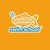 Goldfish Swim School - Stamford - Swimming Lessons/Schools in Stamford