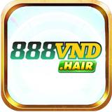 888vndhair