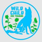 Wild Child Dog Training - Dog Walkers in Maysville