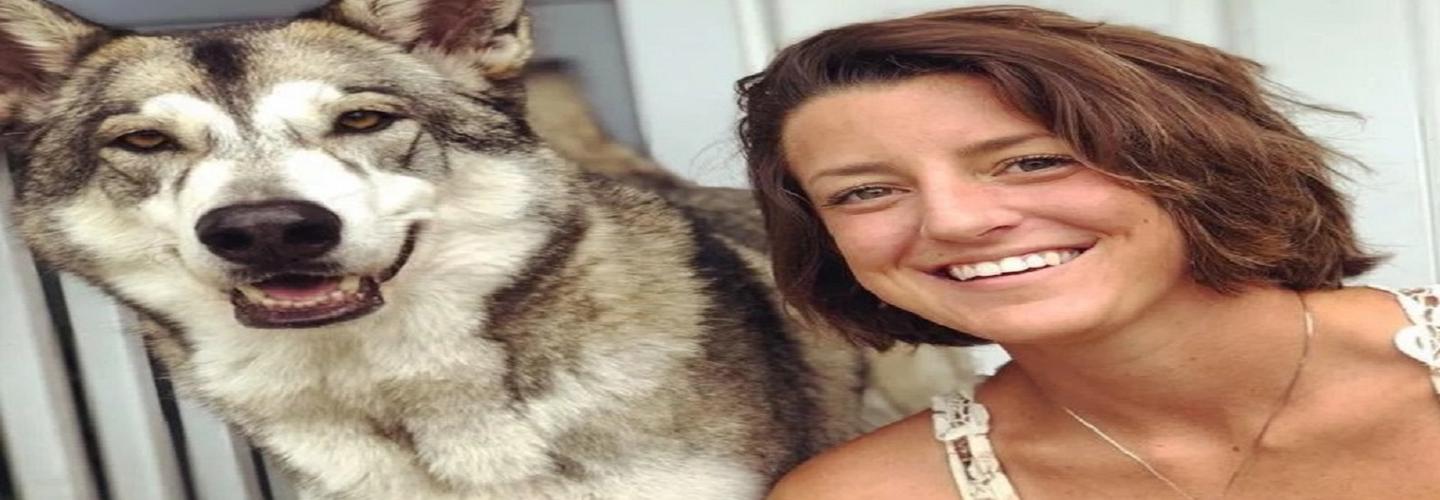 Wild Child Dog Training cover photo