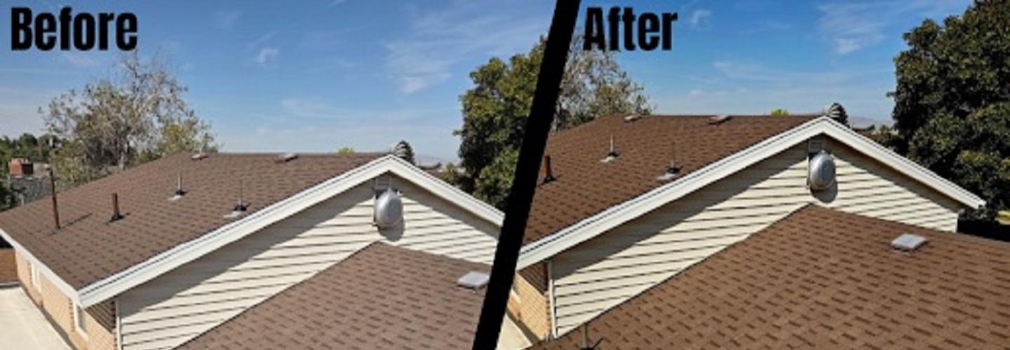 Revive Your Roof cover photo