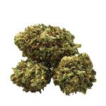 Jersey City Dispensary - photo 2