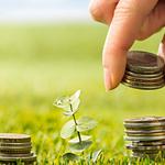 SEO Page One - photo 1