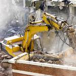 IRON BEAR & CO. - photo 1