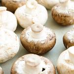 Buy LSD USA - photo 2